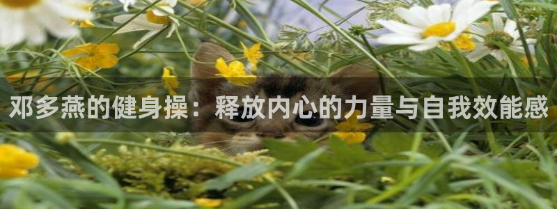 龙8国际安卓版版