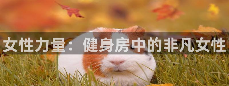 龙8国际网站怎么样