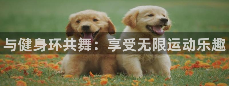 龙8国际官方网站手机版下载