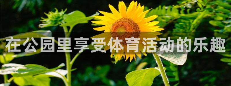 龙8国际app客户端下载