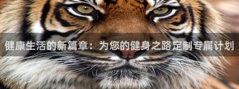 龙8国际现金