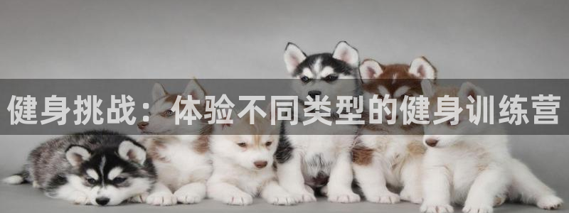 龙8游戏官方网站s