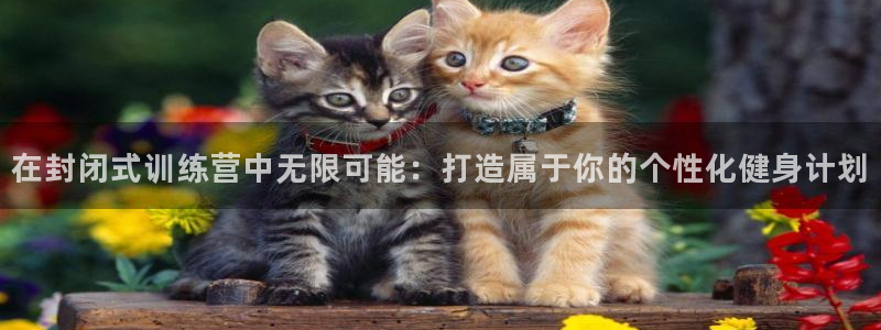 龙8国际城