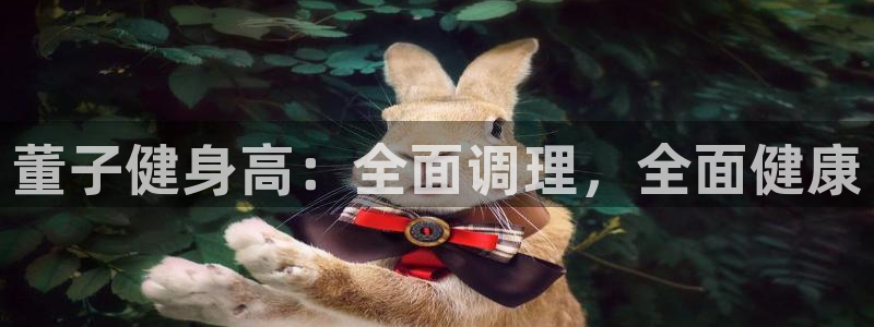 龙8国际pt网址